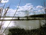 Río Río